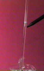 Water level raised in tube by osmosis. (Start of demo)